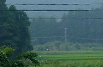 最近はドローンで稲の害虫防除をしているんですね。気付きませんでした。715